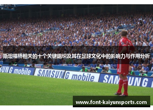斯坦福桥相关的十个关键组织及其在足球文化中的影响力与作用分析 斯坦福桥相关的十个关键组织及其在足球文化中的影响力与作用分析