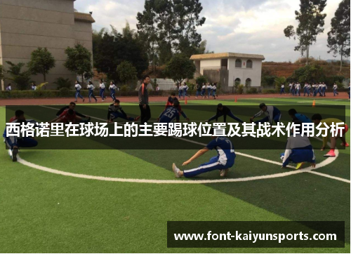西格诺里在球场上的主要踢球位置及其战术作用分析 西格诺里在球场上的主要踢球位置及其战术作用分析