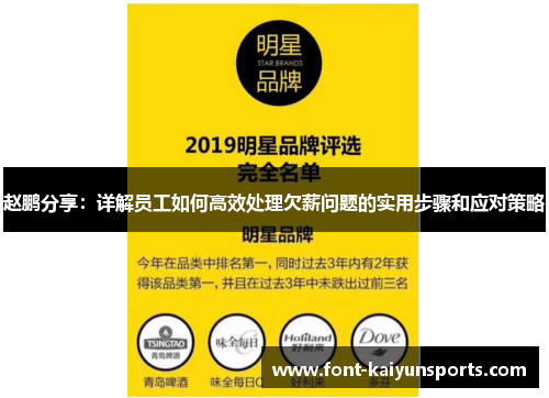 赵鹏分享：详解员工如何高效处理欠薪问题的实用步骤和应对策略